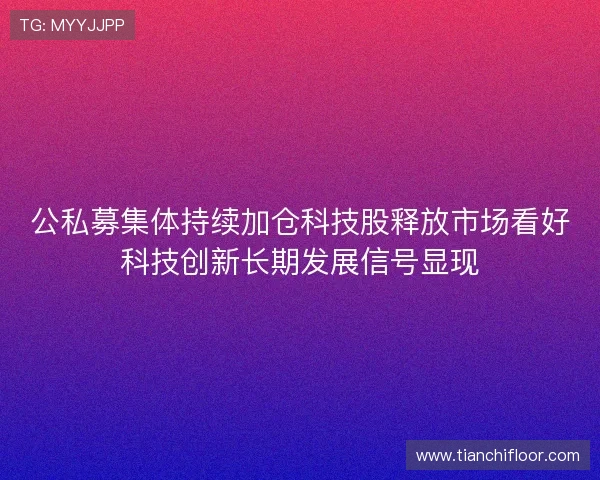 公私募集体持续加仓科技股释放市场看好科技创新长期发展信号显现 公私募集体持续加仓科技股释放市场看好科技创新长期发展信号显现