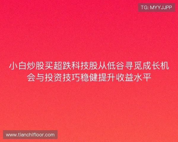 小白炒股买超跌科技股从低谷寻觅成长机会与投资技巧稳健提升收益水平